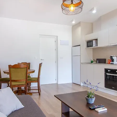 Cozy In With Kitchen Apartment Torrevieja